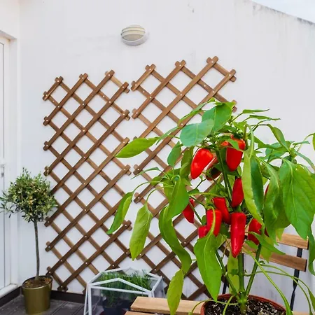 Babylon Duplex - Chiado *